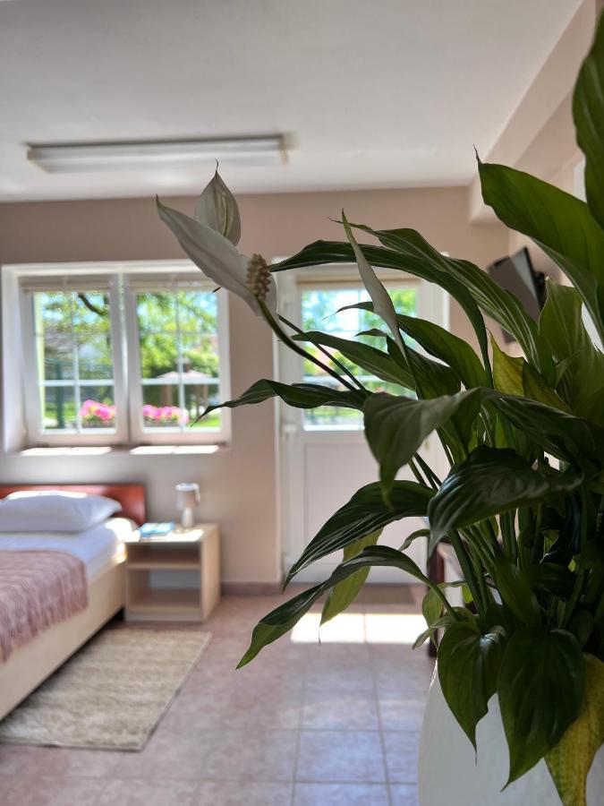 Hotel Marislav Cesnovice Dış mekan fotoğraf