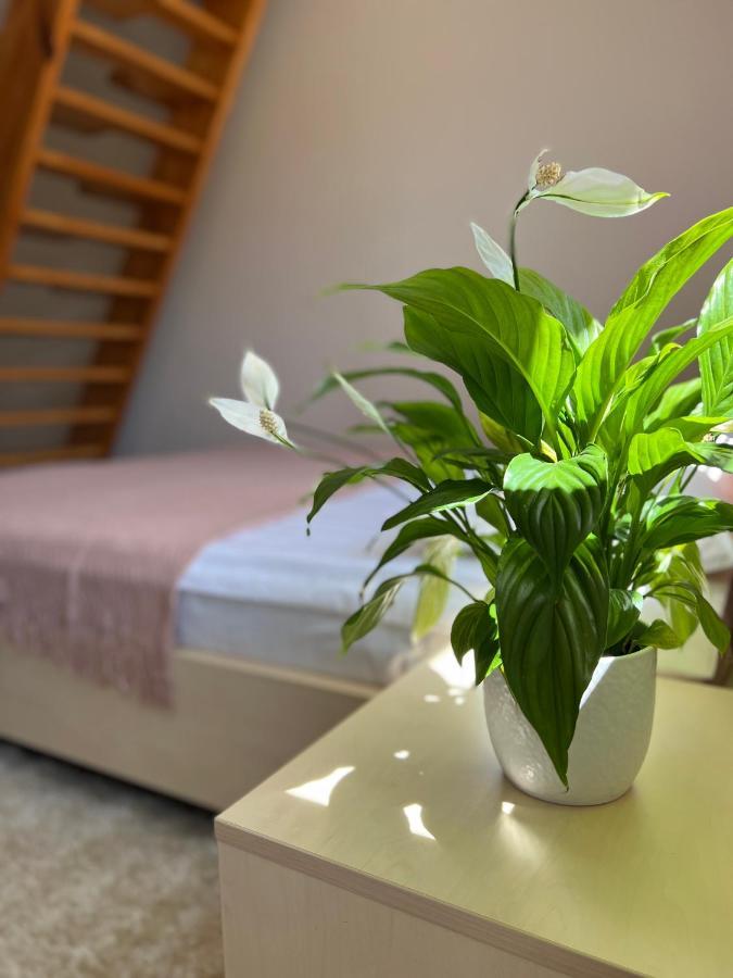 Hotel Marislav Cesnovice Dış mekan fotoğraf