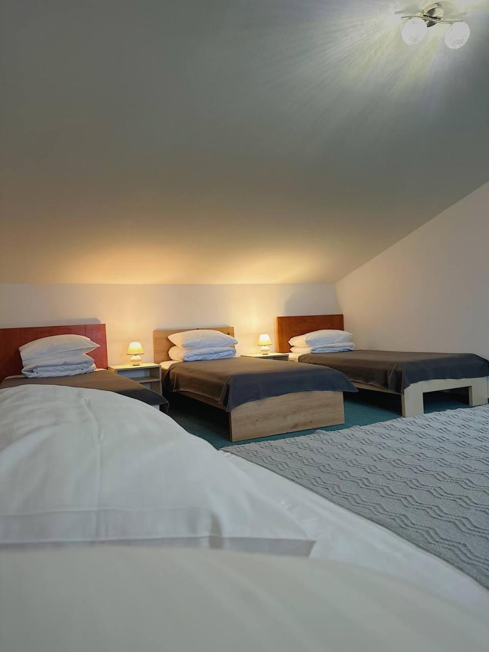 Hotel Marislav Cesnovice Dış mekan fotoğraf