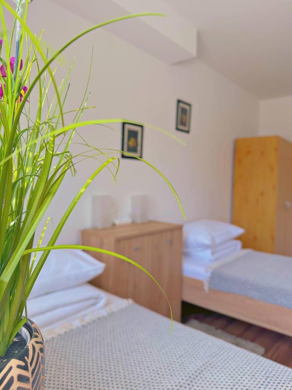 Hotel Marislav Cesnovice Dış mekan fotoğraf